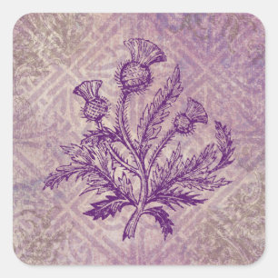 Adesivo Quadrado Nó Celta Roxo-Roxo Escocês