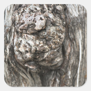 Adesivo Quadrado Nó de tronco de árvore
