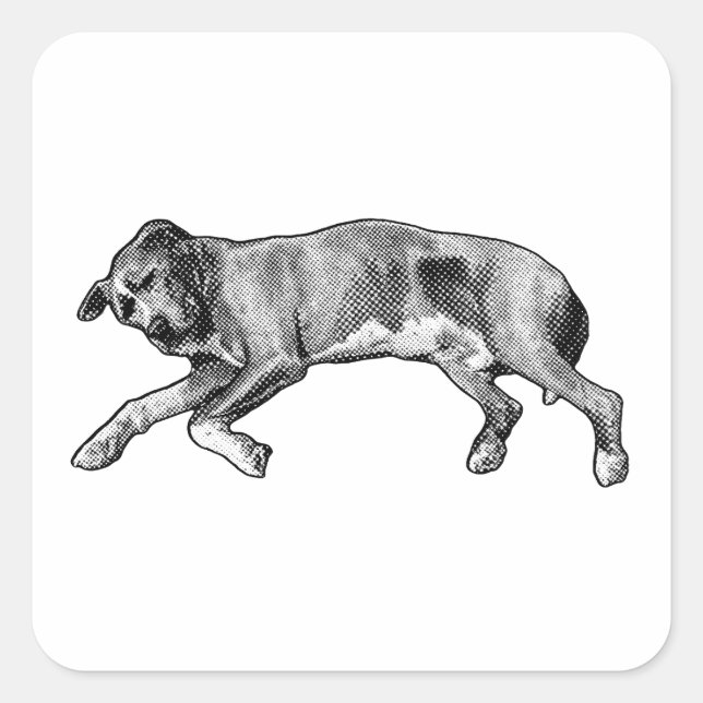 Adesivo Quadrado Noel Stretch, Long and Light (Frente)