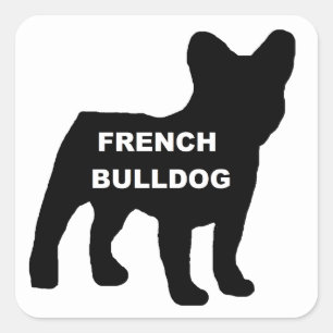 Adesivo Quadrado nome do buldogue francês silhouette