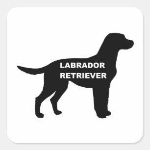 Adesivo Quadrado nome labrador silhouette