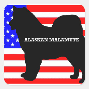 Adesivo Quadrado nome malamute do alaskan silo na bandeira
