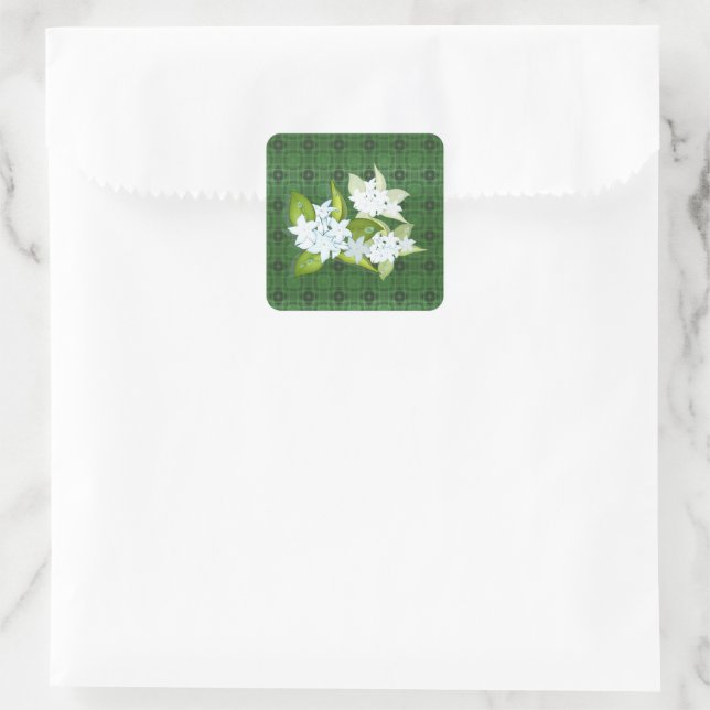 Adesivo Quadrado Nome personalizável das flores de jasmine (Bolsa)