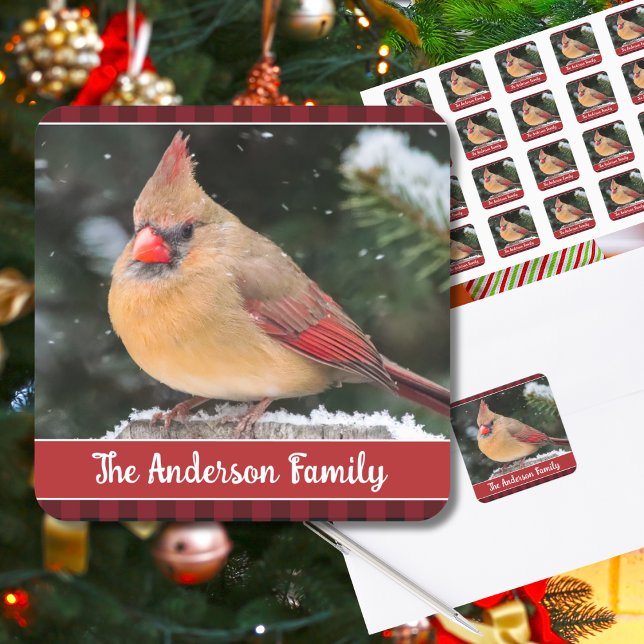 Adesivo Quadrado Norte de Natal russo Natureza Cardinal da Xadrez (This rustic Christmas card seal with customizable text features a pretty female Northern Cardinal.)