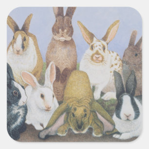 Adesivo Quadrado Nós somos todas as orelhas