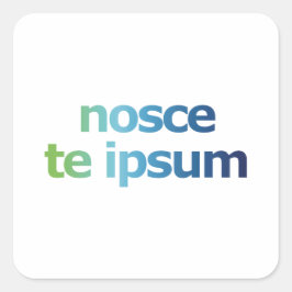 Adesivo Quadrado Nosce Te Ipsum - Conheça Suas Expressões