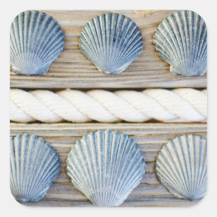 Adesivo Quadrado Nova Iorque dos Seashells  