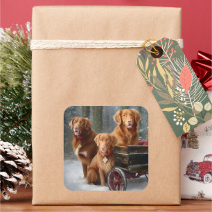 Adesivo Quadrado Nova Scotia Duck Toller Retriever Trenó Nevado