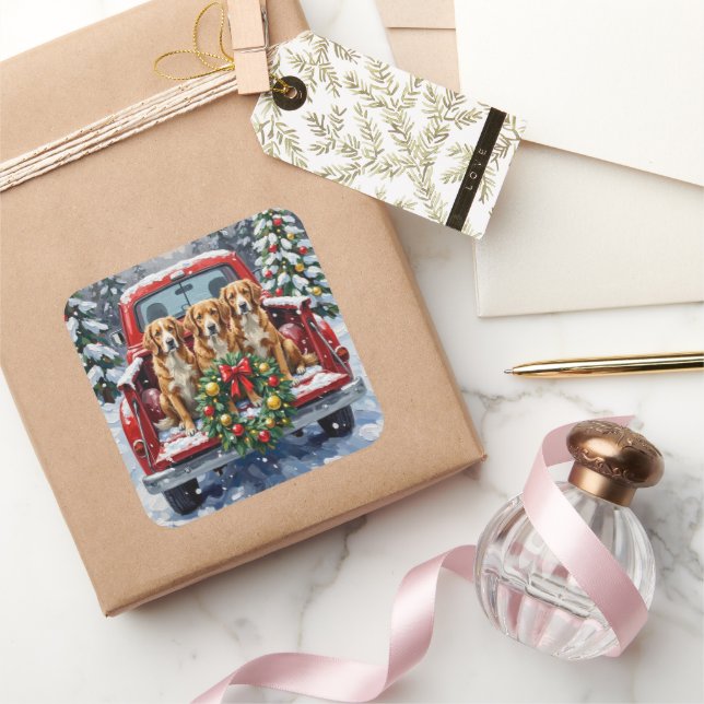 Adesivo Quadrado Nova Scotia Duck Tolling Retriever Christmas Red (Presentear)