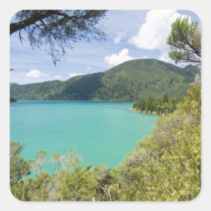 Adesivo Quadrado Nova Zelândia, Ilha do Sul, Marlborough Sounds.