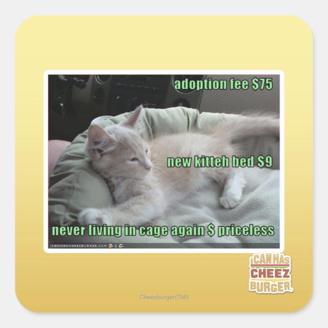 Adesivo Quadrado Nunca mais vivendo em uma gaiola (Frente)