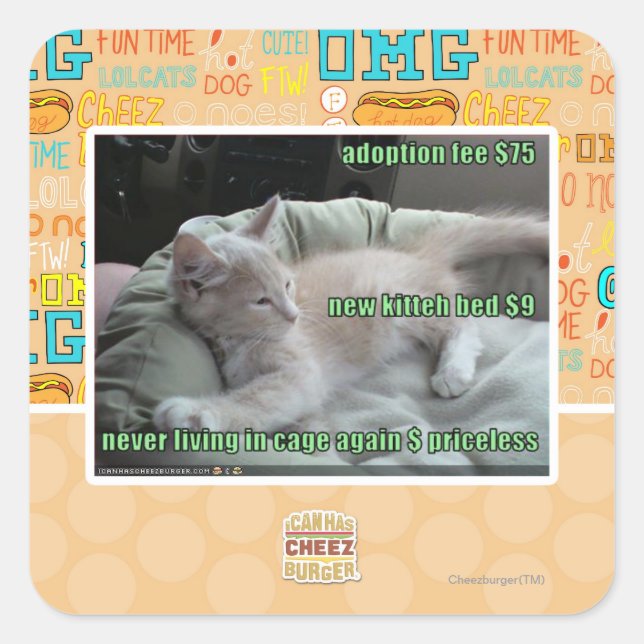 Adesivo Quadrado Nunca mais vivendo em uma gaiola (Frente)