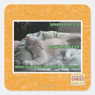 Adesivo Quadrado Nunca mais vivendo em uma gaiola