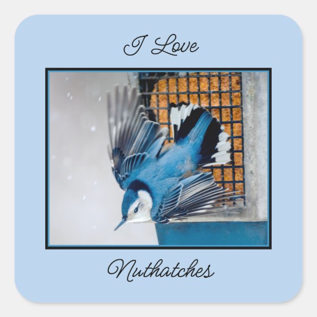 Adesivo Quadrado Nuthatch Branca em Neve - Foto original (Frente)