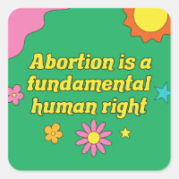 O Aborto Pró-Escolha é um Direito Humano Fundament