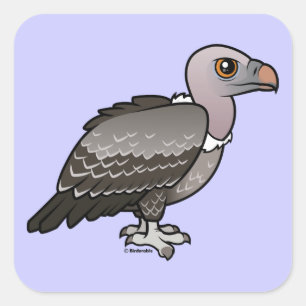 Adesivo Quadrado O abutre de Rueppell