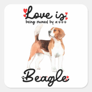 Adesivo Quadrado O Amor É Propriedade De Um Beagle