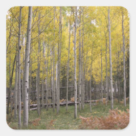 Adesivo Quadrado O brilho amarelo de Aspen