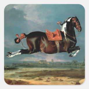 Adesivo Quadrado O Cavalo Piebaldo "Ceheroína"