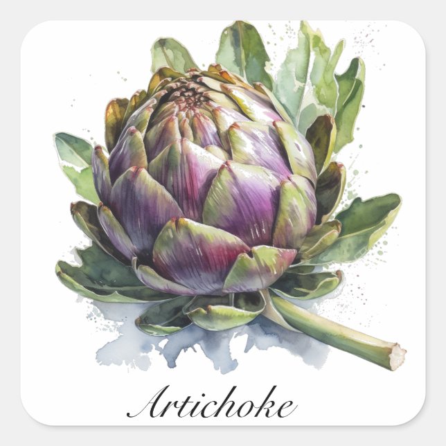 Adesivo Quadrado O Coração do Garde: Artichoke em Aquarela (Frente)