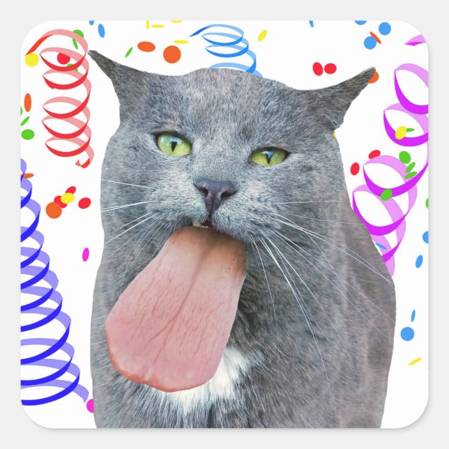 Adesivo Quadrado O Gato Da Festa Recebeu Sua Língua? (Frente)