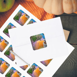 Adesivo Quadrado O jardim ainda vive com uma abóbora laranja