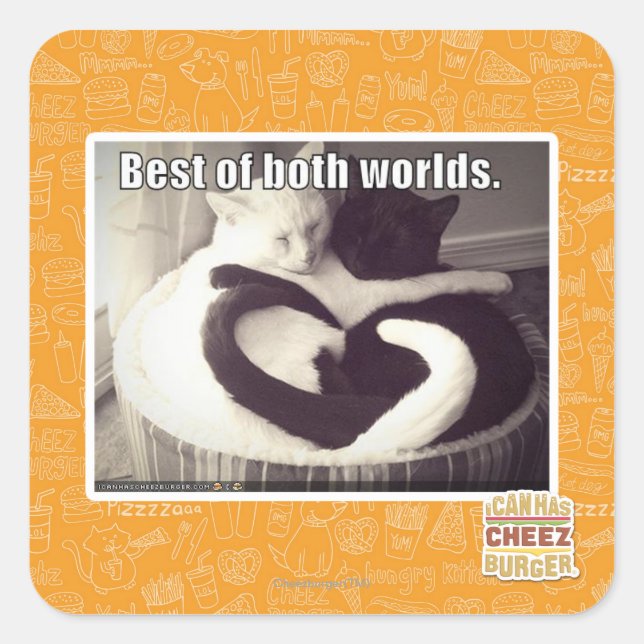 Adesivo Quadrado O melhor dos dois mundos. (Frente)