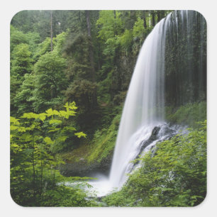 Adesivo Quadrado O Norte Médio cai, Silver Falls State Park,