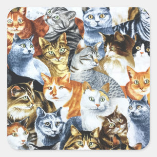 Adesivo Quadrado O Palheiro dos GATOS