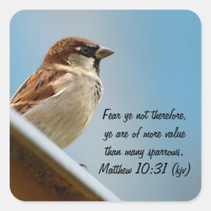 Adesivo Quadrado O pardal