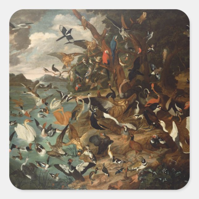 Adesivo Quadrado O Parlamento das Aves (Frente)