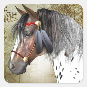 Adesivo Quadrado O Pôneo Indiano