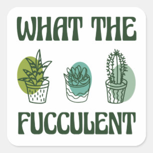 Adesivo Quadrado O Que As Plantas Fuculentes?