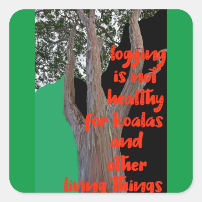 Adesivo Quadrado O registro não é saudável para Koalas, (Frente)