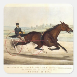 Adesivo Quadrado O rei do relvado, 'St. Julien