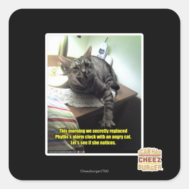 Adesivo Quadrado O vamos vê se ela percebe. (Frente)