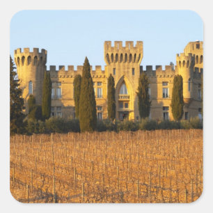 Adesivo Quadrado O vinhedo com videiras syrah e o castelo