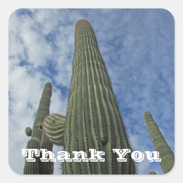 Adesivo Quadrado Obrigado Apreciação Do Céu Azul Saguaro Cactus (Frente)