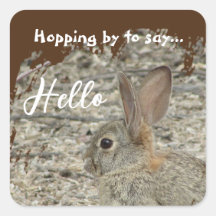 Obrigado Foto Sexo Neutro