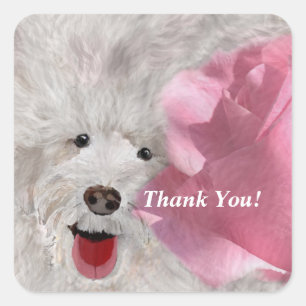 Adesivo Quadrado Obrigado Labradoodle e Rosa