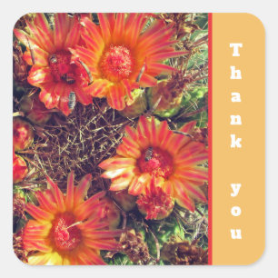 Adesivo Quadrado Obrigado Vivid Orange Cactus Flowers Apreciação