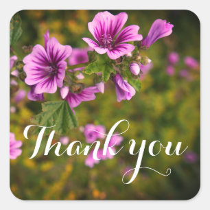 Adesivo Quadrado Obrigado Zebra Hollyhock Flores #2 Stickers