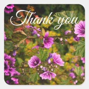 Adesivo Quadrado Obrigado Zebra Hollyhock Flowers Stickers