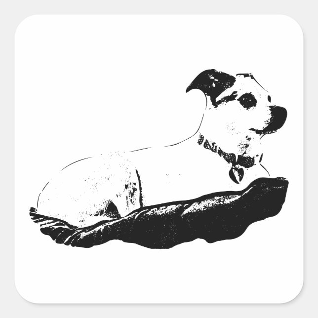 Adesivo Quadrado Observador & Perch (Frente)