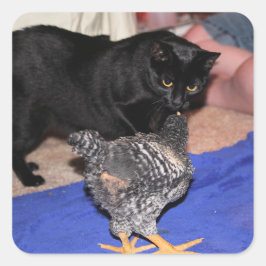 Adesivo Quadrado Observadores