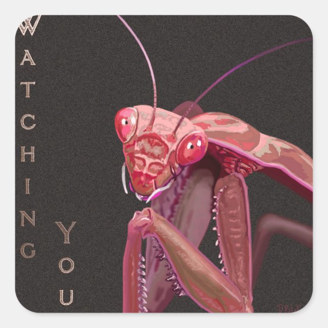 Adesivo Quadrado Observando você - Versão Rosa (Frente)