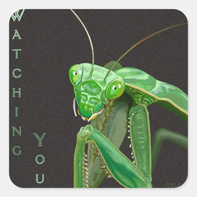 Adesivo Quadrado Observando você - Versão Verde (Frente)