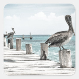 Adesivo Quadrado Oceano Costeiro Pelicano