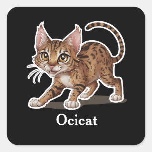 Adesivo Quadrado Ocicat