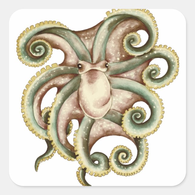 Adesivo Quadrado Octopus Greenish (Frente)